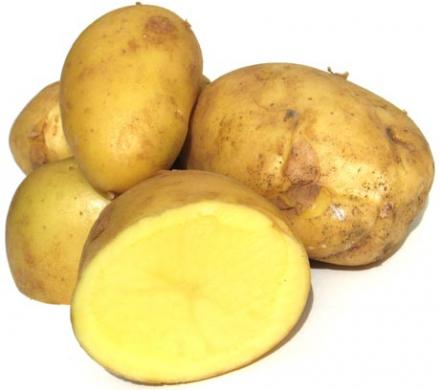 Patate